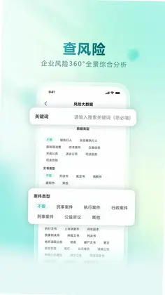 龙易查预览图