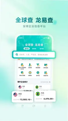龙易查预览图