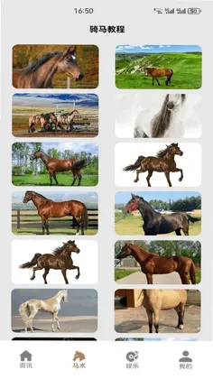 蓝马集最新版预览图