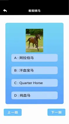 蓝马集最新版预览图