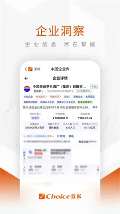 Choice数据预览图