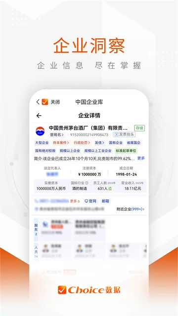 Choice数据预览图