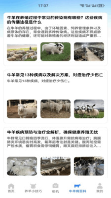 名羊四海预览图