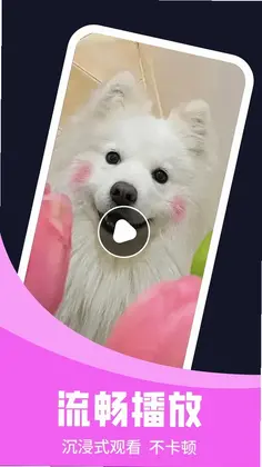 ���ⲥ�����ٷ���Ԥ��ͼ