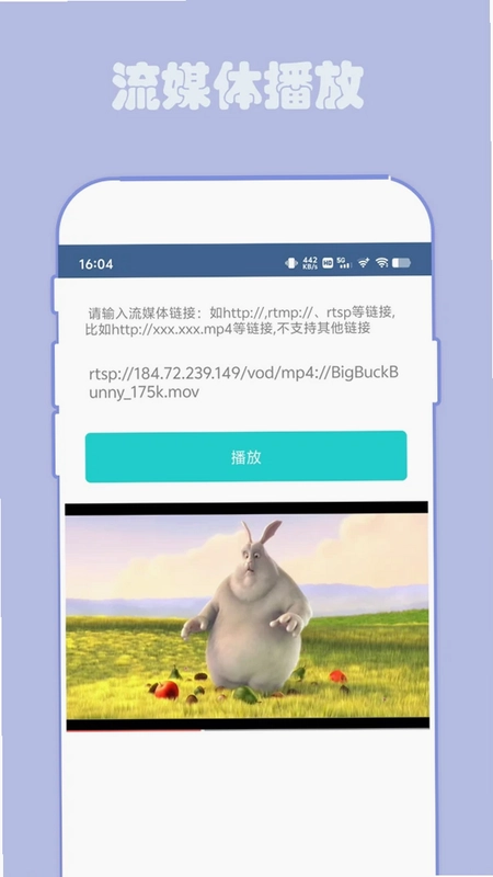 翼先锋影音预览图