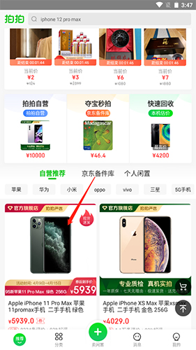 拍拍1