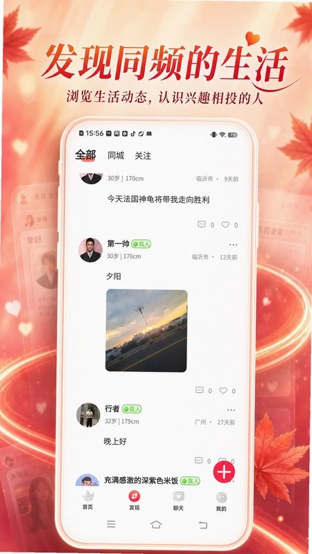 枫遇预览图