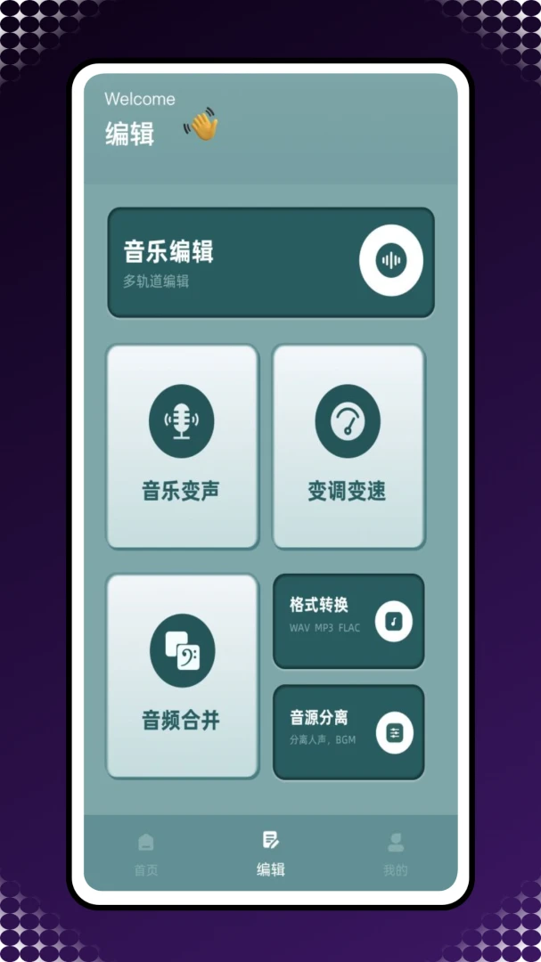 Reversevoice��������ʹ�ó���