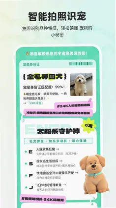 宠拍档预览图