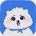 宠智灵