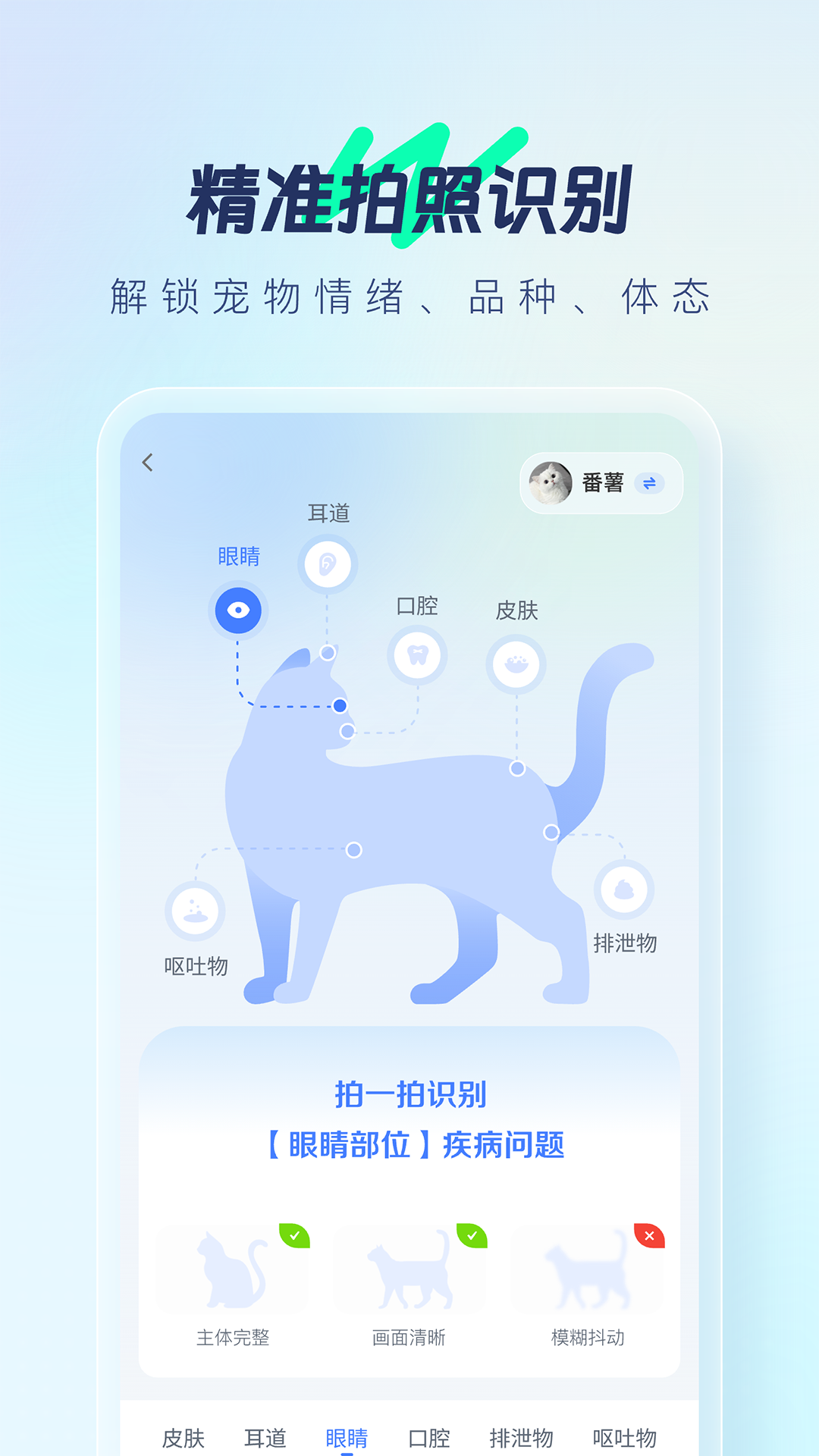 宠智灵功能列表