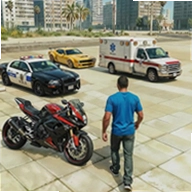 车辆驾驶模拟游戏Vehicle Driving Sim Car Games