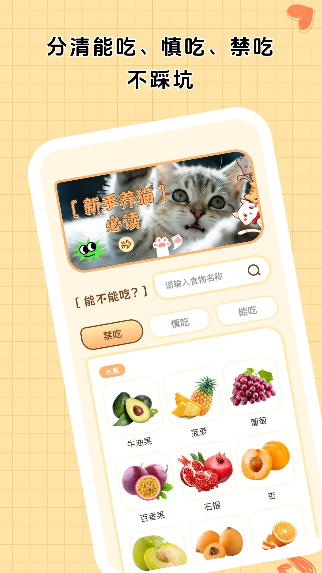 用心养猫手册多猫管理