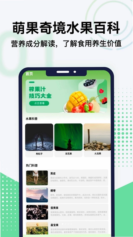 萌果奇境预览图