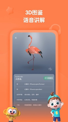 斑马百科