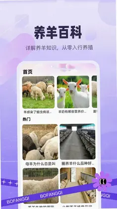 ����������Ԥ��ͼ