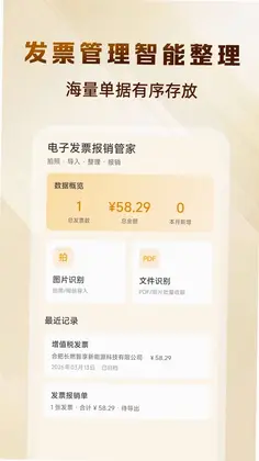电子发票报销管理最新版预览图