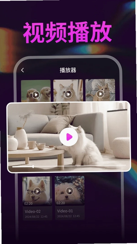 私人视频全能播放器预览图