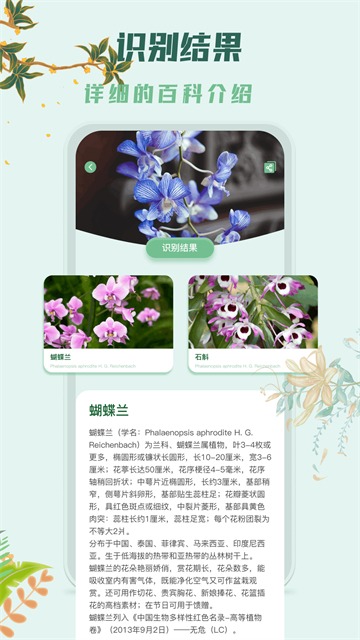 识花君植物识别预览图