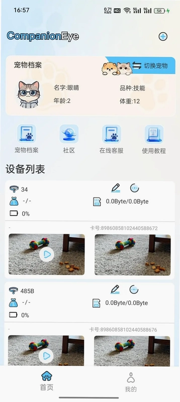 CompanionEye软件预览图