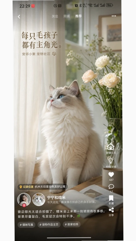 宠邻小聚官方版预览图