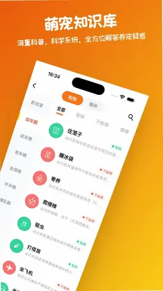 宠忆录预览图