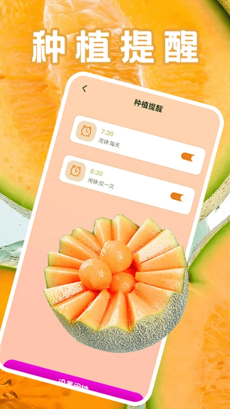 发财哈密瓜官方版预览图