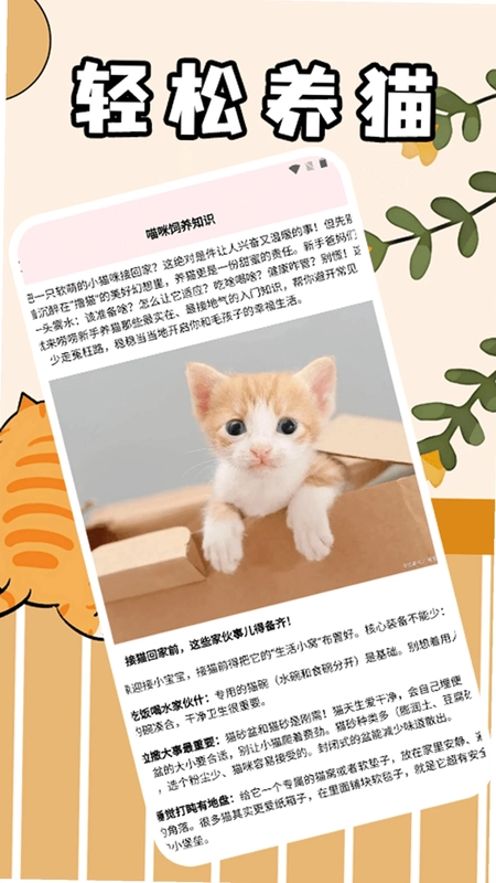 筑梦猫舍极速版预览图