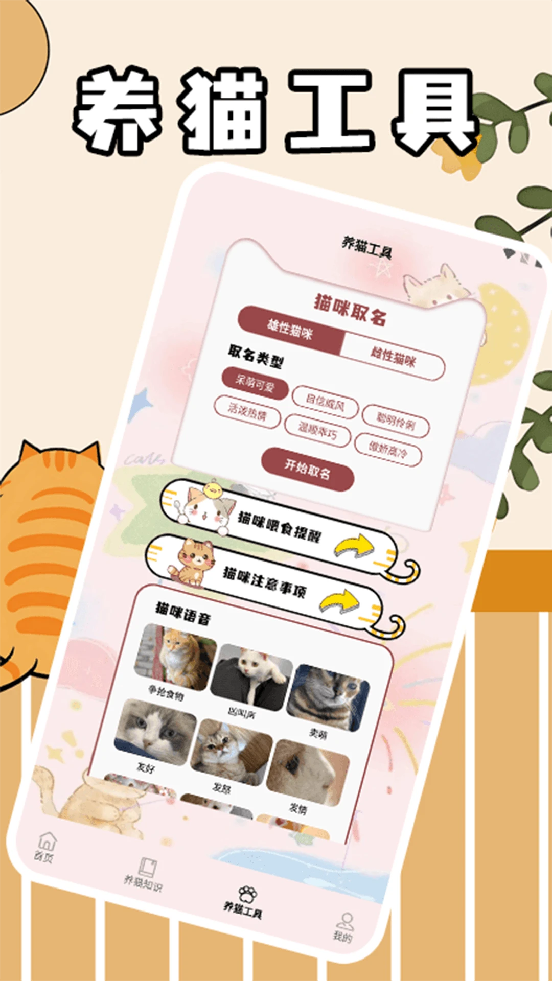 筑梦猫舍极速版预览图