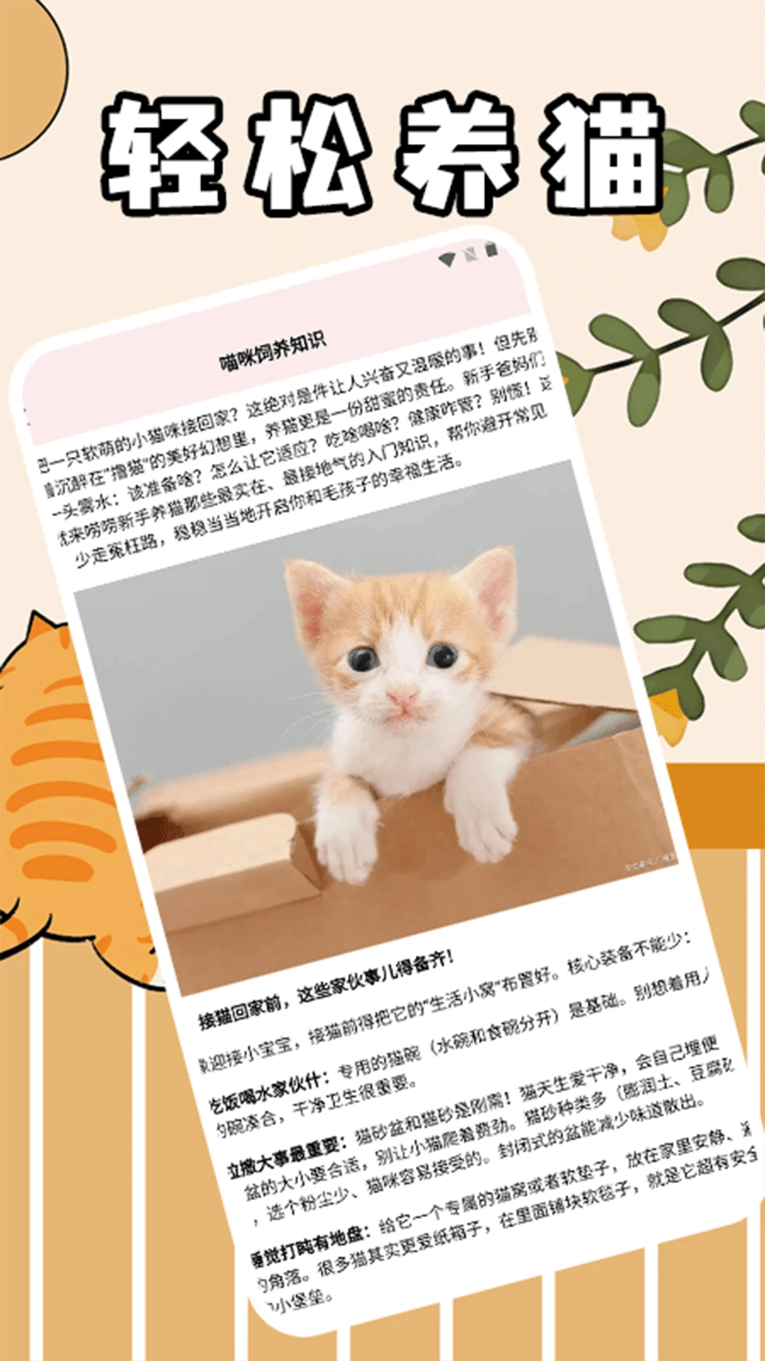 筑梦猫舍极速版功能展示
