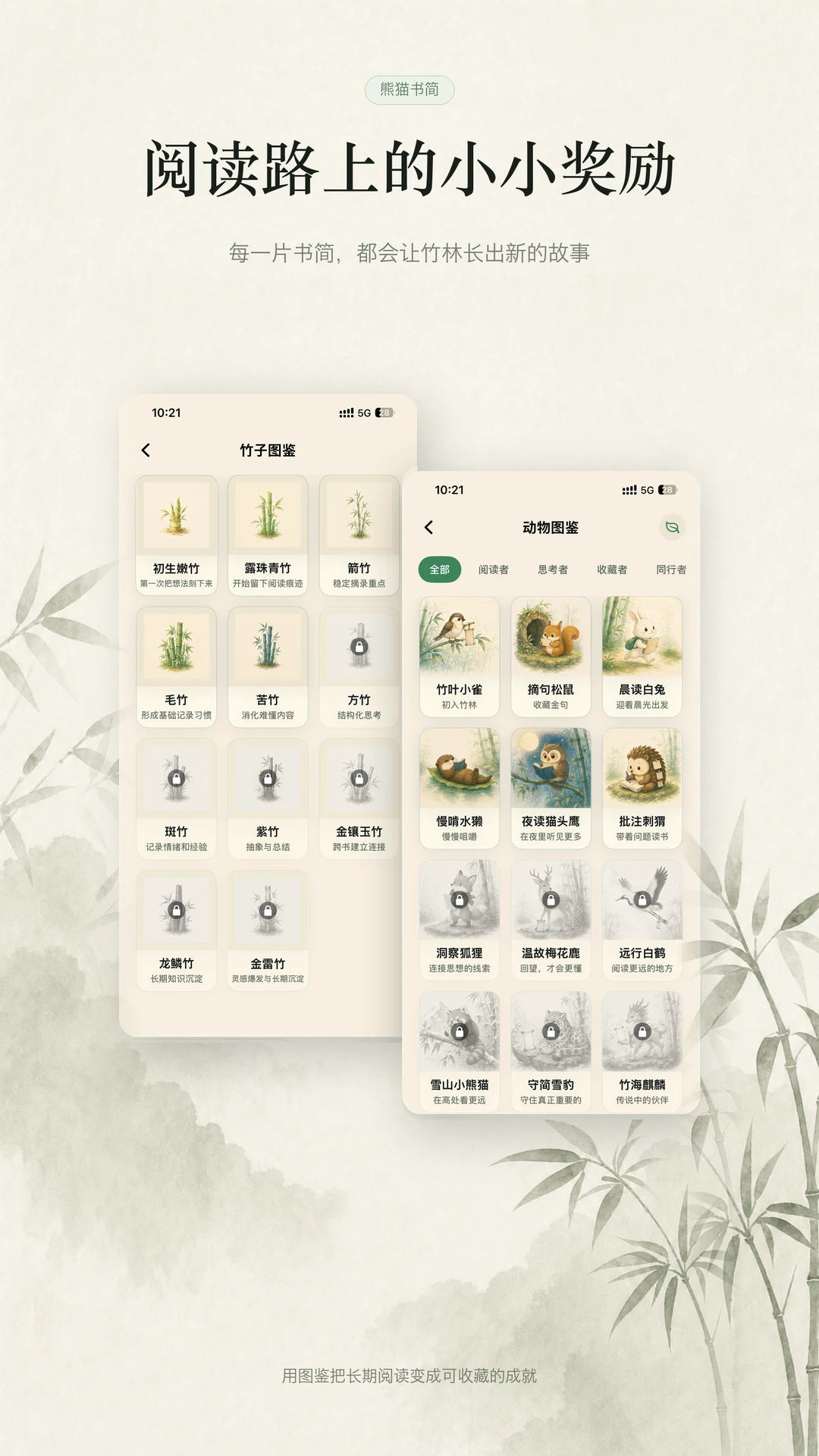 熊猫书简随机回忆