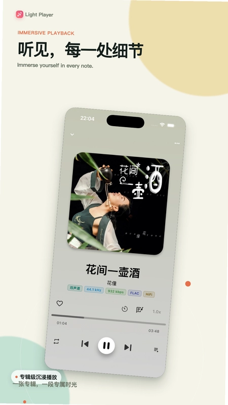 Light Player安卓版预览图