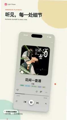 Light Player安卓版预览图