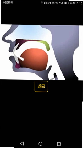 英语国际音标学习预览图