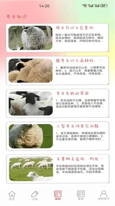 福气小羊村手机版预览图