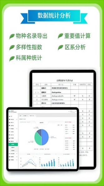 北极花生物调查预览图