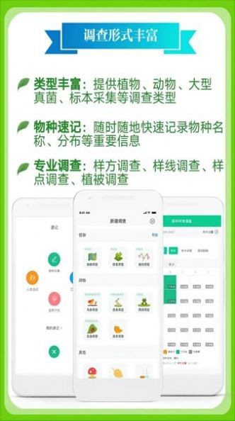 北极花生物调查识别功能
