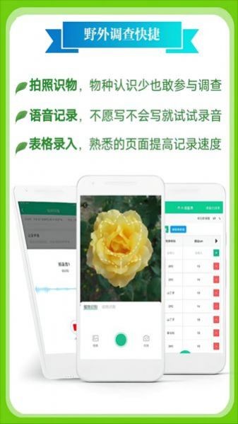 北极花生物调查数据记录