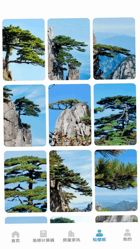 大丸松板屋预览图