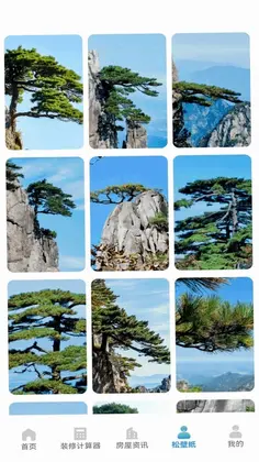 大丸松板屋预览图