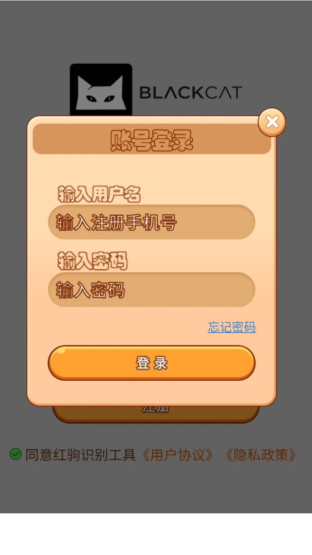 功能展示