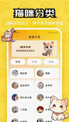 快乐小猫猫预览图