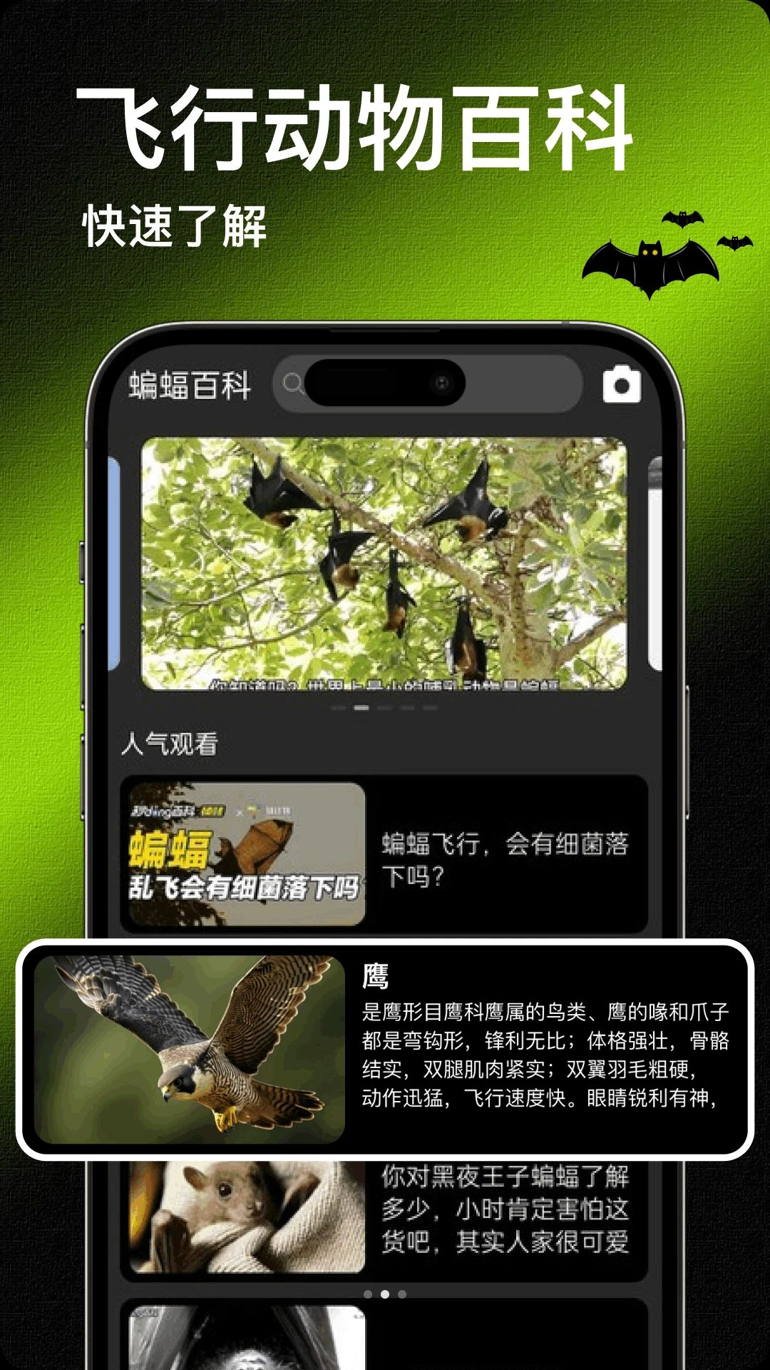 Bat�����������