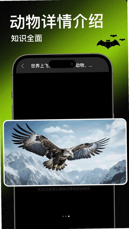 Bat蝙蝠官方版预览图