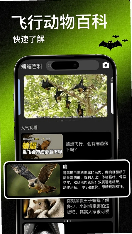Bat蝙蝠官方版预览图