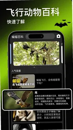 Bat����ٷ���Ԥ��ͼ