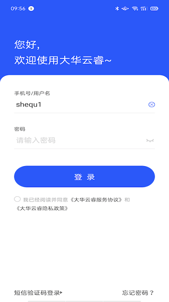大华云睿界面
