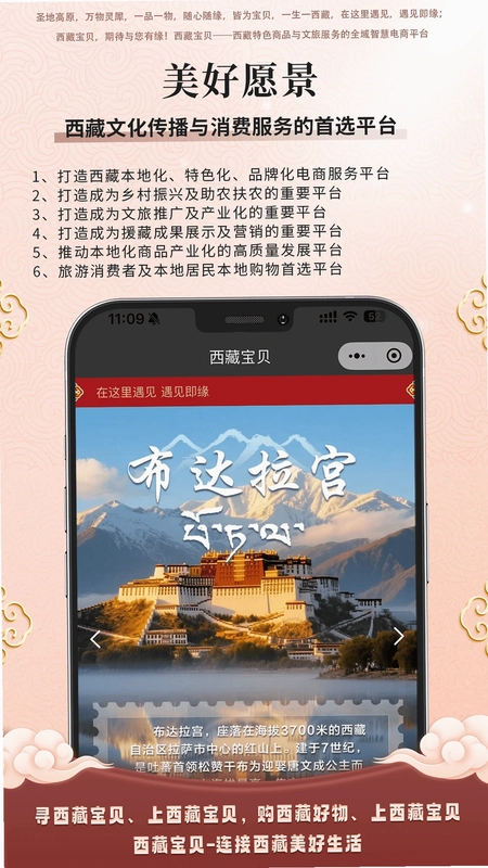 西藏宝贝预览图