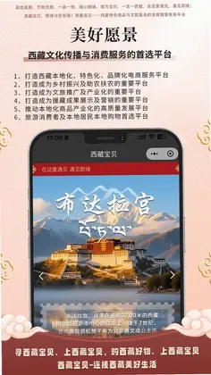 西藏宝贝预览图