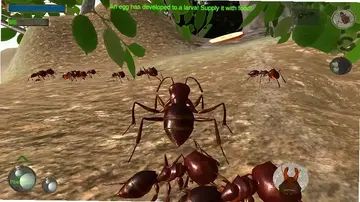3d蚂蚁模拟游戏预览图